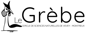 Logo CSNVM